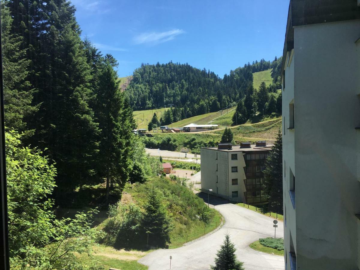 Apartment Belle-Hutte La Bresse Dış mekan fotoğraf